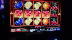 amb33